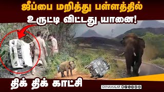 யானையிடம் சிக்கி உயிர் தப்பிய மின்வாரிய ஊழியர்கள் | Pollachi | Elephant attack