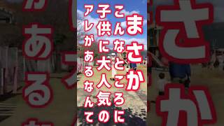 【熊本観光 あそビバ！】アレができる公園