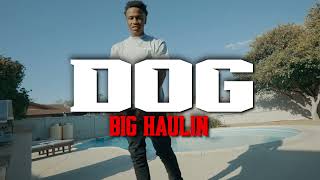 Big Haulin - Dogg (Official Music Video) 🎥:@richornothinfilms