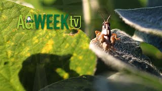 AgweekTV S09E11 03/18/23