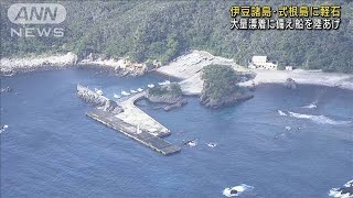 軽石“バケツ2杯程度”が漂着　伊豆諸島・式根島(2021年11月12日)