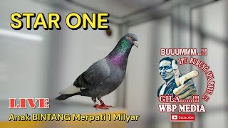 KABAR STAR ONE ANAK BINTANG TEAM BHINEKA SEMARANG