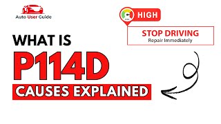What is P114D : Engine Error Code Causes Explained