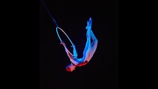 Aerial Hoops, Quidam by Cirque du Soleil. #danilabim #hairsuspension #aerialhoop