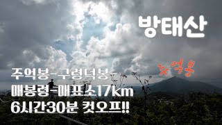 방태산 | 여름엔 우리나라 최대의 자연림 방태산으로!!🚶‍♀️ | 주억봉 | 구룡덕봉