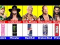 WWE Wrestlers Their Favorite Energy Drink