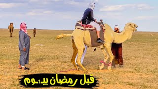 سلسلة الصحراء_ شمال الروسان🐪🌱