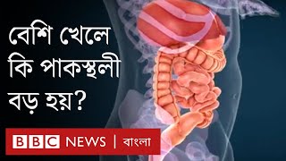 একসাথে বেশি খাবার খেলে শরীরে কী ঘটে?