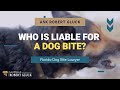 Who is Liable for a Dog Bite? | Dog Bite Lawyer