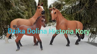 Dzika Dolina Historia Kory film z okazji 294subów🐎💕