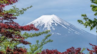 東京竟然不是日本的首都？