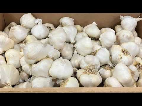 How many tablespoons is 2 cloves of garlic?