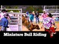 World Champion Mini Bull Riding || Miniature Bull Riding Broken Arrow Round Up Club