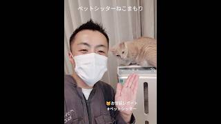 🐱お世話レポート 仲良し３ニャンズ #ペットシッター