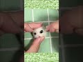 羊毛フェルトでdaisoのユニコーン作ってみた　 作ってみた ユニコーン　 needlefelting