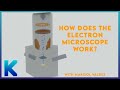 Scanning Electron Microscope (How it works?)