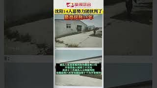 #沈阳 苏家屯区法院对张某某等14名被告人恶势力团伙案件依法公开宣判