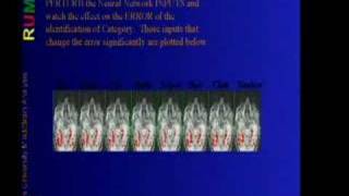 Computational Neuroimaging