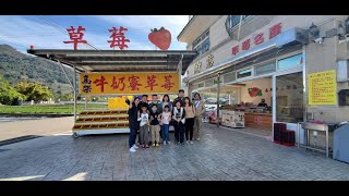 苗栗．大湖草草莓＆滿意高架牛奶密草莓農場/休閒、旅遊、餐廳、美食、露營、住宿