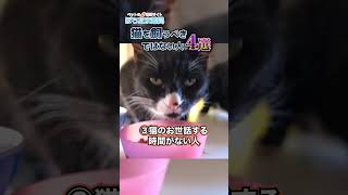 あなたは大丈夫？猫を飼うべきでない人4選！#shorts #猫 #猫のいる暮らし #猫のいる生活