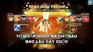 Poke Đại Chiến TIẾN CẤP HOOH BÁ CHỦ SAU BAO LÂU CÀY CUỐC.. CỦA CHỦ ACC