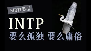 【MBTI】INTP为什么如此孤独？不了解Ti的人永远不会懂