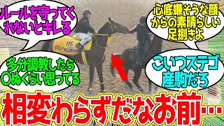 ウシュバ ← おっちゃん機嫌悪そうだな…に対するみんなの反応！【競馬 の反応集】