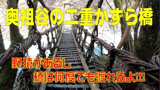 奥祖谷の二重かずら橋