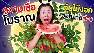 ต้นไม้งอกออกจากท้อง 9 ความเชื่อโบราณ Ep.3 | Pony Kids