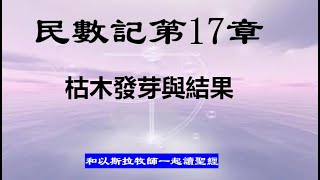 民數記第17章 枯木發芽與結果