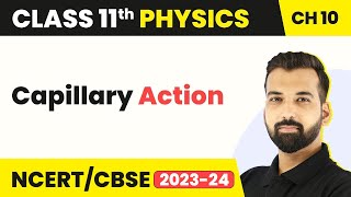 Class 11 Physics Chapter 10 | Capillary Action - Mechanical Properties of Fluids