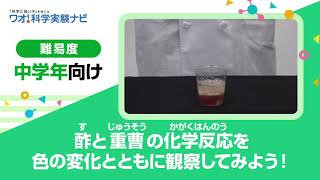 実験レシピ　酢と重曹の化学反応を色の変化とともに観察してみよう！