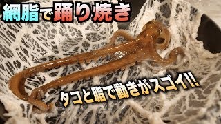 芸術的！！網脂でテナガダコを踊り焼きするとすげぇダンスをするよ！！