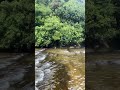 top of the kirindi ella falls 🏞️ 😯 කිරිඳි ඇල්ල මුදුන🌱🍃☘️