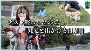 【vlog】テスト明けの日曜日！🐶 丸麦とドッグランに行く！！【神奈川県松田町】