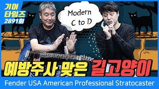 [GearTimes 2891회] 펜더 Fender USA Limited Edition American Professional Stratocaster