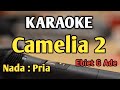 CAMELIA 2 - KARAOKE || NADA PRIA || Ebiet G Ade || Audio HQ || Live Keyboard