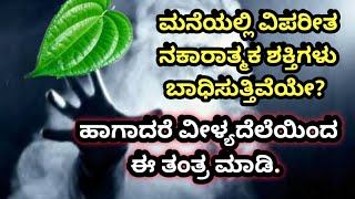 ನಕಾರಾತ್ಮಕ ಶಕ್ತಿಗಳು ವಿಪರೀತವಾಗಿ ಕಾಡುತ್ತಿದೆಯಾ? ಹಾಗಾದರೆ ವೀಳ್ಯದೆಲೆಯಿಂದ ಈ ಪರಿಹಾರವನ್ನು ಮಾಡಿಕೊಳ್ಳಿ.