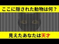 【ゆっくり解説】君は見える？天才だけが分かる錯覚診断テスト！