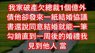 結婚2年 他白月光離婚回國從不夜不歸宿的他竟沒回家我想通 拿1千萬敲響婆婆門留下一張離婚協議 轉身離