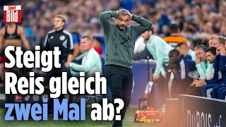 Abstiegskampf: Schalke spielt nicht bundesligatauglich | Reif ist Live