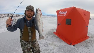 Hitting the Hard Deck!! (Ice Fishing Catch & Cook!!)