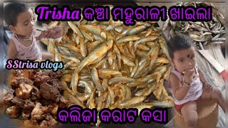 Trisha କଞ୍ଚା ମହୁରାଳୀ ଖାଇଲା ଓ କଲିଜା କରାଟ କସା //Chiken//village fish //Village food//SStrisa vlogs