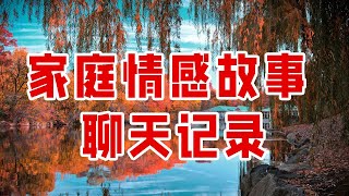 家庭情感故事 聊天记录 -  情感故事 2023