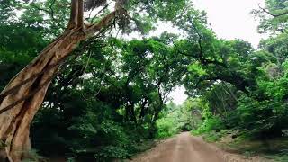 ጠዋትና ማታ ልታዩት የሚገባ ተፈጥሮ አየሁ #ethiopia #travelvlog #ethiopian #nature #natural #african