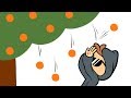 Apples and Oranges -- HaskellRank #03