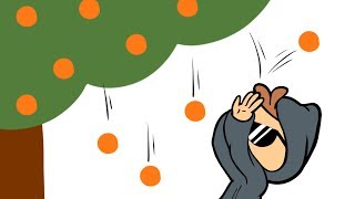 Apples and Oranges -- HaskellRank #03