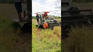 Rice Harvester / Reaper Machine / Kubota