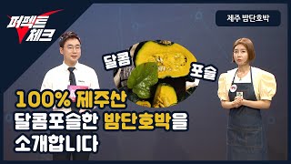 [퍼펙트체크] 100% 제주산 달콤포슬한 '밤단호박'을 소개합니다!