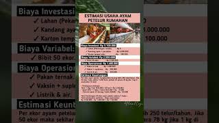 Estimasi Biaya Usaha Ayam Petelur Rumahan #kuliner #tipsbisnis #peternakan #ayampetelur #wirausaha